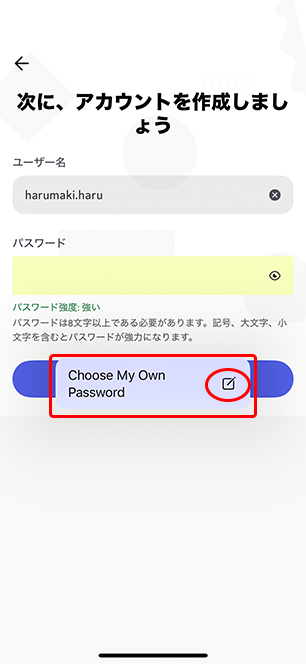 信長の野望　真戦　春巻の記録　サイト内画像　Discord取得説明用の画像